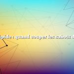 Réponse rapide : quand couper les sabots des chèvres